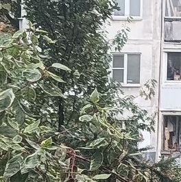 Продажа 4-комн квартиры на вторичном рынке Мытищи, Новомытищинский проспект, 45к1 Продажа 4-комн квартиры на вторичном рынке Мытищи, Новомытищинский проспект, 45к1