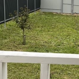 Продажа дома Удачное ДНП, 1