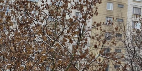 3-комн квартира Привольная улица, 5К1