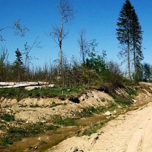 Земельный участок У Лукоморья СНТ