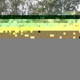 Аренда 1-комн квартиры на вторичном рынке улица Писарева,  д. 10