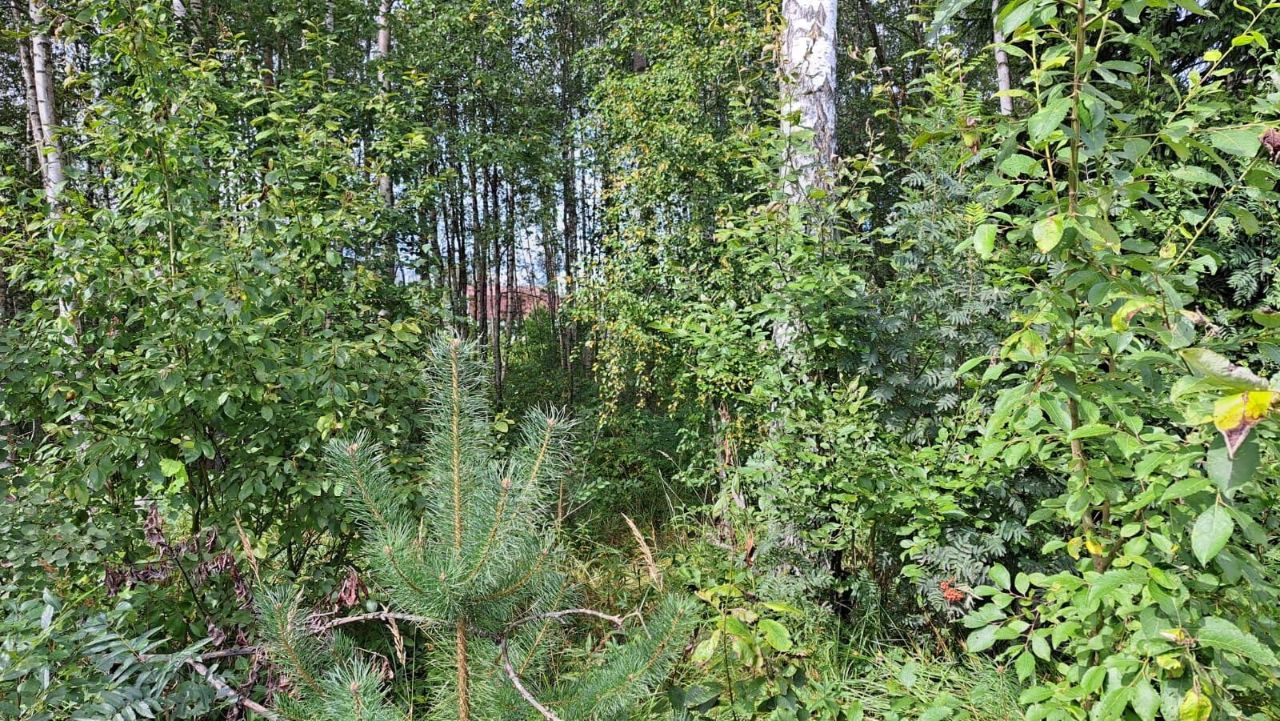Продажа земли Дачное некоммерческое партнерство Волшебный сад,  д. 25