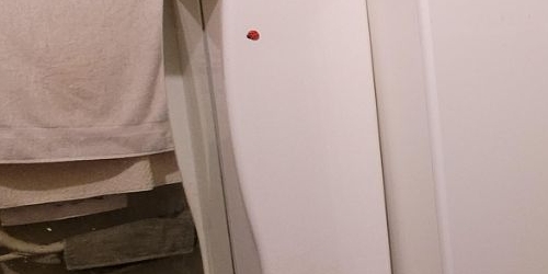 3-комн квартира Болотная улица, 2К1