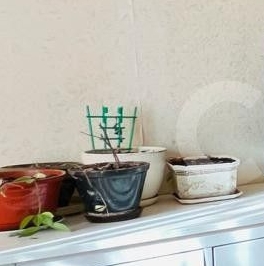 Продажа 2-комн квартиры на вторичном рынке Сиреневый бульвар, 3К3 Продажа 2-комн квартиры на вторичном рынке Сиреневый бульвар, 3К3