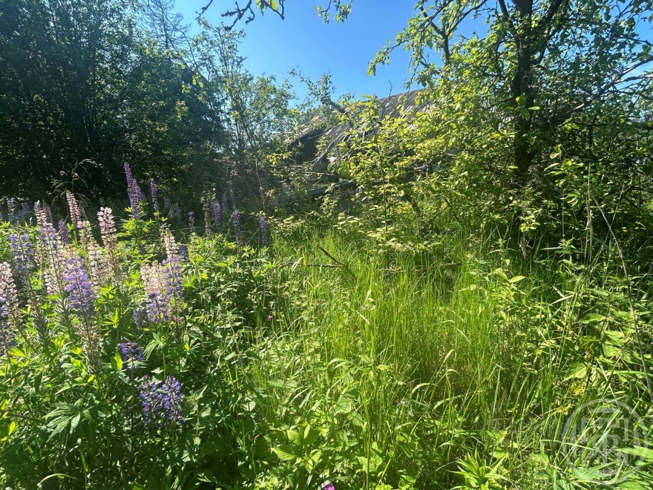 Продажа земли Восход садоводческий массив