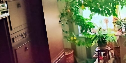 3-комн квартира Туристская улица, 20К2