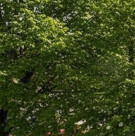 Продажа 3-комн квартиры на вторичном рынке Пречистенская набережная, 43 Продажа 3-комн квартиры на вторичном рынке Пречистенская набережная, 43