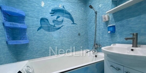 1-комн квартира Шлиссельбургский пр-кт,  д. 41