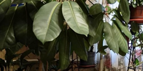 3-комн квартира улица Красного Текстильщика, 9-11