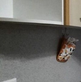 Продажа студии Кудрово г., улица Пражская, 15