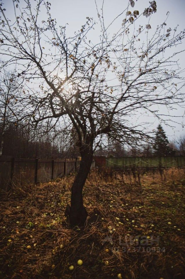 Продажа дома д. Лопухинка, улица Советская, 50