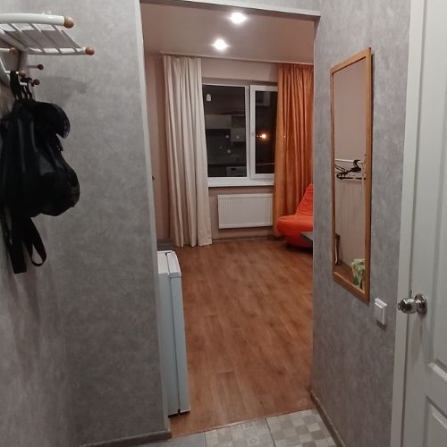 Студия пос. Шушары, Пулковское тер., улица Сарицкая, 11