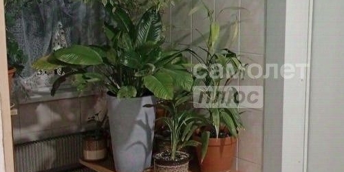 2-комн квартира улица Коненкова, 17