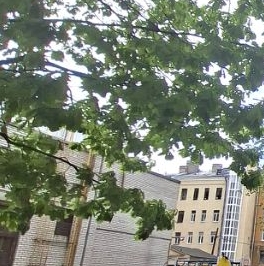 Продажа 3-комн квартиры на вторичном рынке Боткинская улица, 4 Продажа 3-комн квартиры на вторичном рынке Боткинская улица, 4