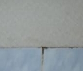 Сдать в аренду Квартиры вторичка Электросталь, улица Мира, 24а   