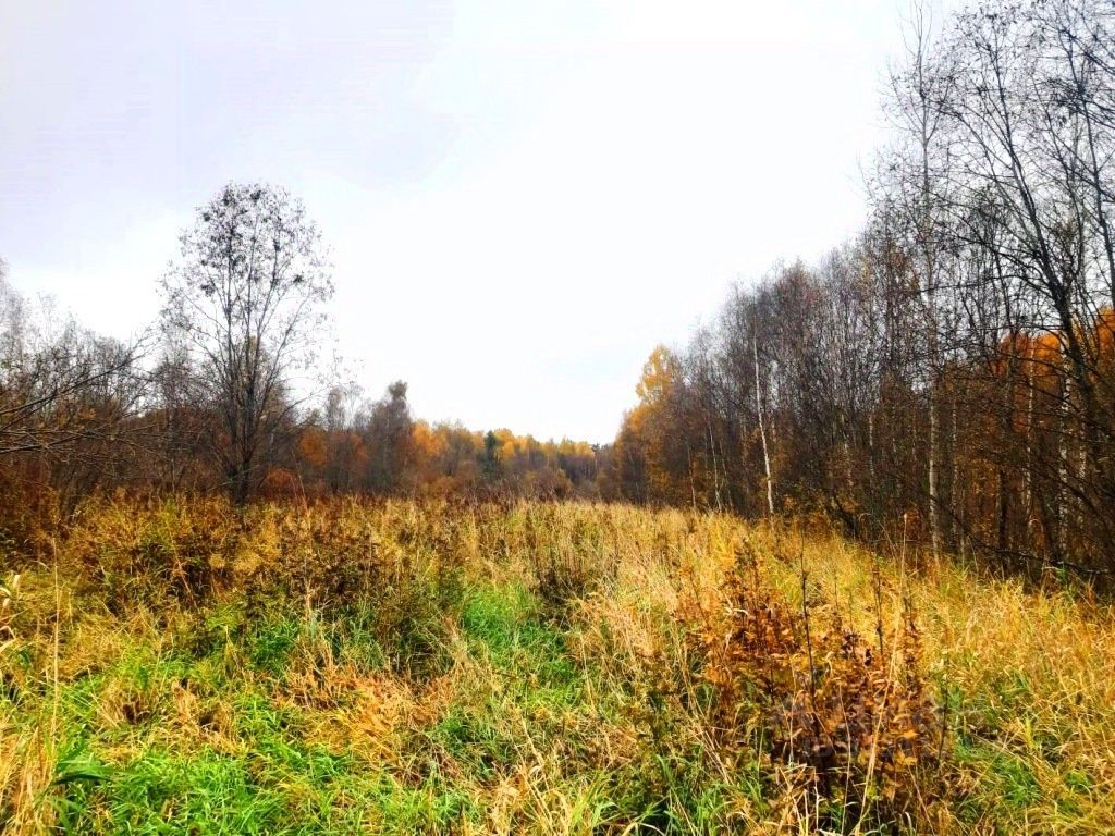 Продажа земли пос. Ромашки, Вирта-1 СНТ, 5