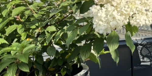 Студия улица Казакова, 7