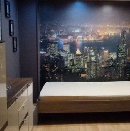 Аренда 1-комн квартиры на вторичном рынке улица Народного Ополчения, 41 Аренда 1-комн квартиры на вторичном рынке улица Народного Ополчения, 41