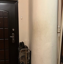 Продажа 1-комн квартиры на вторичном рынке Огородный пер,  д. 5