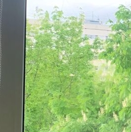 Продажа 1-комн квартиры на вторичном рынке Наличная улица, 45К1 Продажа 1-комн квартиры на вторичном рынке Наличная улица, 45К1