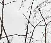 Продать Квартиры вторичка Краснодарская улица, 60   