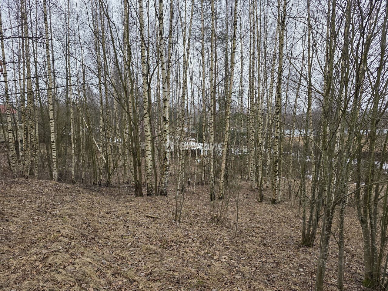Продажа земли д. Хязельки, 1