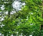 Продать Квартиры вторичка Рощино пгт, переулок Садовый, 5   