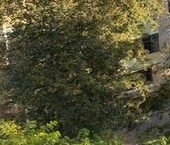 Продать Квартиры вторичка улица Гамалеи, 3   