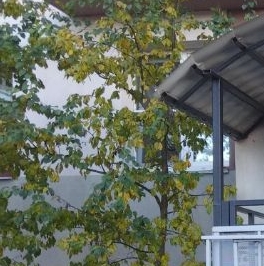 Продажа 1-комн квартиры на вторичном рынке Коммунар г., улица Железнодорожная, 29