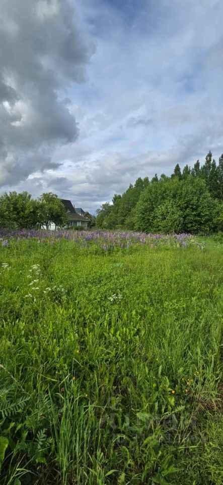 Продажа земли Павловск, Славяночка-2 СНТ, 370