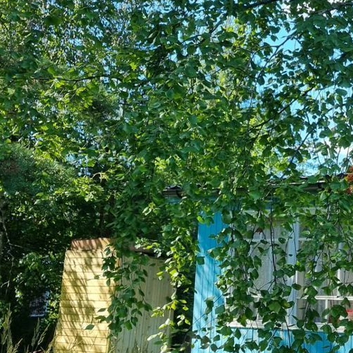 Коттедж/дом Березка СНТ, улица Новая