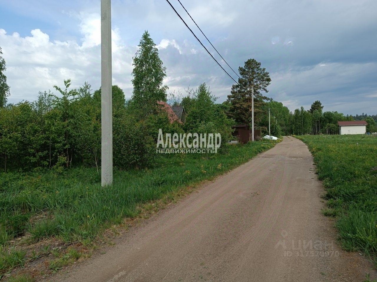 Продажа земли Алмаз СНТ, улица Еловая