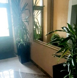 Продажа 2-комн квартиры на вторичном рынке Каменщики Б. ул,  д. 2