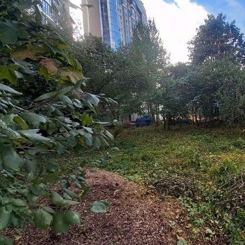 Земельный участок Лесопромышленный Комбинат Ленметростроя СНТ