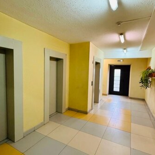 1-комн квартира Купелинка (деревня Сапроново), , Видное, кв-л Северный,  д. 20