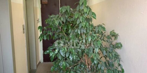 2-комн квартира улица Барышиха,  д. 36