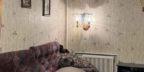 1-комн квартира улица Руставели, 37