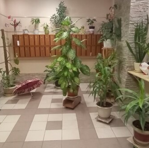 1-комн квартира Мытищи, ул Колпакова,  д. 26