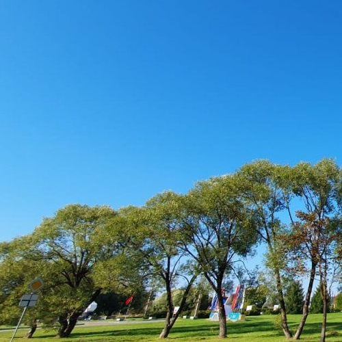 1-комн квартира Сланцы, улица Кирова, 12