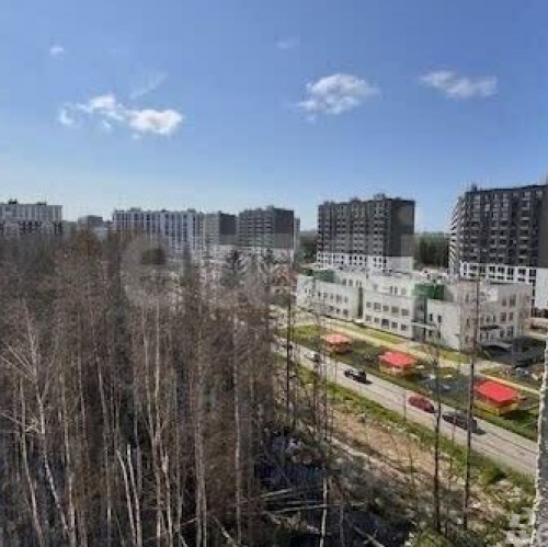 1-комн квартира Арцеуловская Аллея,  д. 9