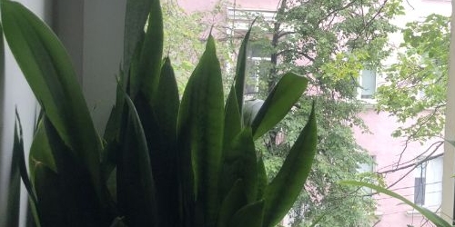 3-комн квартира Колпино, проспект Ленина, 14/18