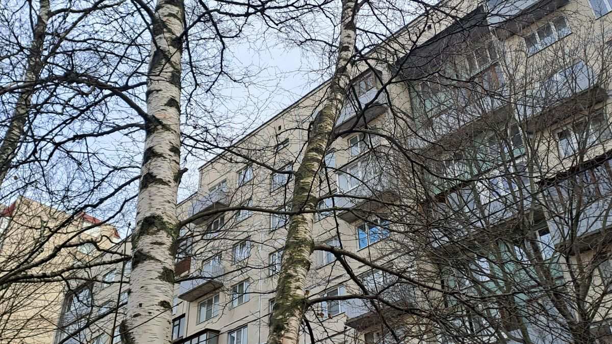 Судебные споры по квартирам: покупатели теряют жилье и деньги