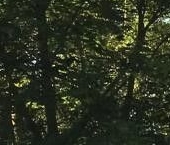 Продать Квартиры вторичка улица Бехтерева, 45К2   