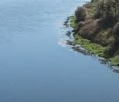 Продать Земельные участки, земля Альборг кп, д. Подол, 29   