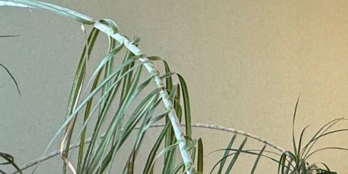 1-комн квартира пос. Шушары, Пушкинская улица, 34