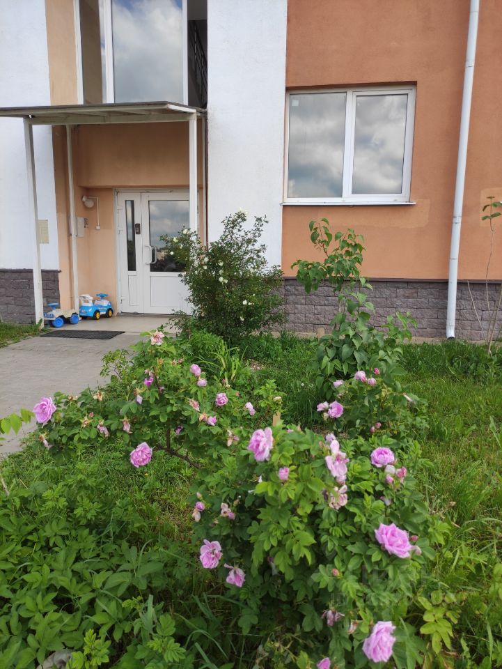 Аренда 1-комн квартиры на вторичном рынке Всеволожск, Степной проспект, 16к2