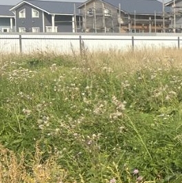 Продажа земли д. Яльгелево, проезд 15-й Конный Продажа земли д. Яльгелево, проезд 15-й Конный