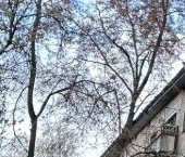 Продать Квартиры вторичка Живописная улица, 4К4   