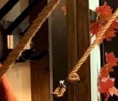 Сдать в аренду Квартиры вторичка пос. Парголово, проезд Толубеевский, 8к2   