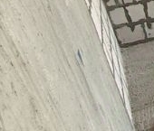 Сдать в аренду Квартиры вторичка улица Крузенштерна, 7   